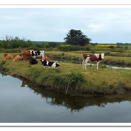 Manoir, Avec Terrasse, Proche Mer, Vue Golf Et Lac, 5 Pers, Acces Gratuit Piscines Talmont-Saint-Hilaire