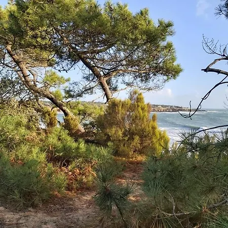 Apartman Manoir Et Terrasse Dans Le Village De Port Bourgenay, Vue Golf, Et Foret, Proche Mer, A 300m Piscine Gratuite D'avril A Sept, 5 Pers