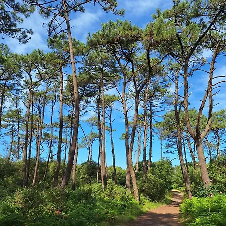 Manoir, Avec Terrasse, Proche Mer, Vue Golf Et Lac, 5 Pers, Acces Gratuit Piscines Talmont-Saint-Hilaire