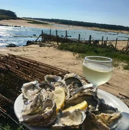 Manoir Et Terrasse Dans Le Village De Port Bourgenay, Vue Golf, Et Foret, Proche Mer, A 300m Piscine Gratuite D'avril A Sept, 5 Pers דירה