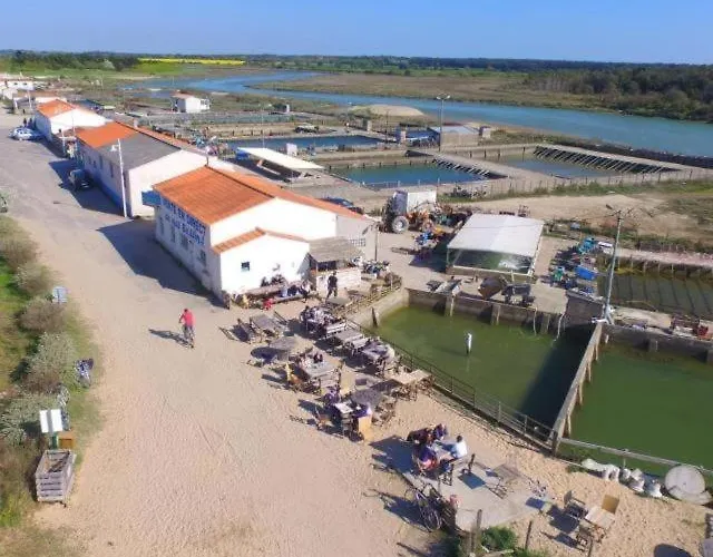 דירה Manoir, Avec Terrasse, Proche Mer, Vue Golf Et Lac, 5 Pers, Acces Gratuit Piscines Talmont-Saint-Hilaire