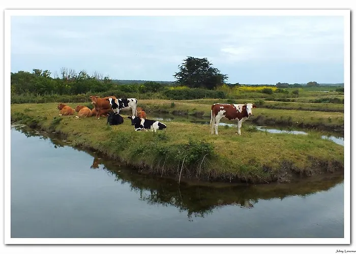 Manoir, Avec Terrasse, Proche Mer, Vue Golf Et Lac, 5 Pers, Acces Gratuit Piscines Talmont-Saint-Hilaire