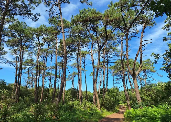 Manoir, Avec Terrasse, Proche Mer, Vue Golf Et Lac, 5 Pers, Acces Gratuit Piscines Talmont-Saint-Hilaire